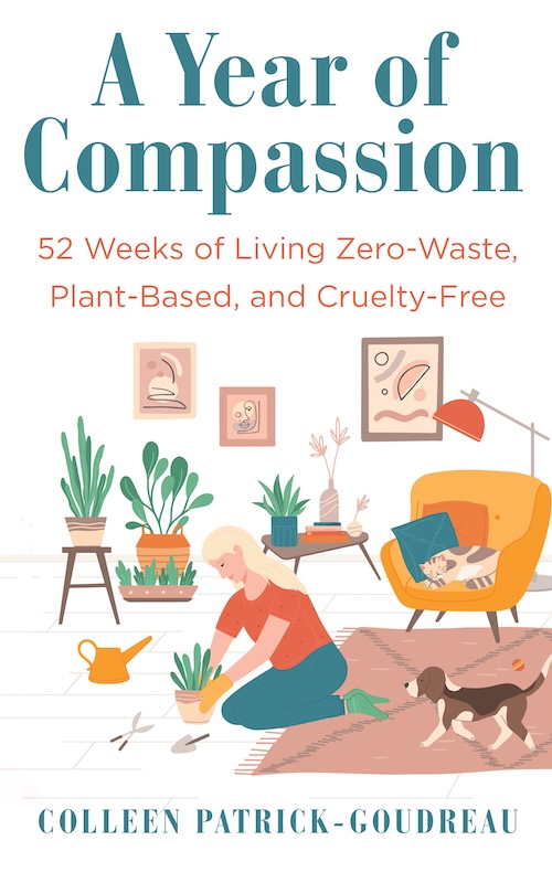 A YEAR OF COMPASSION! (NEW!)