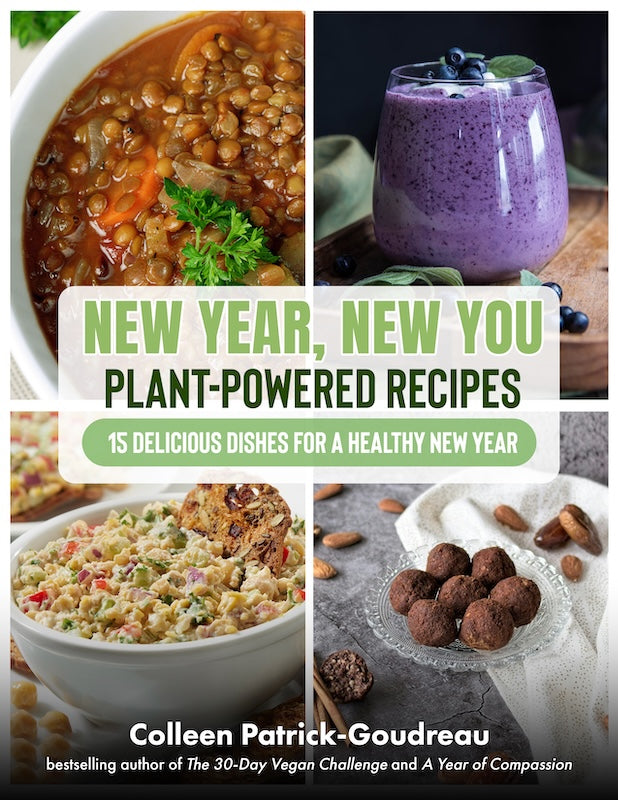 plant you recipes NEW YEAR NEW YOU MENU — VEGAN RECIPE EBOOK – Colleen Patrick-Goudreau