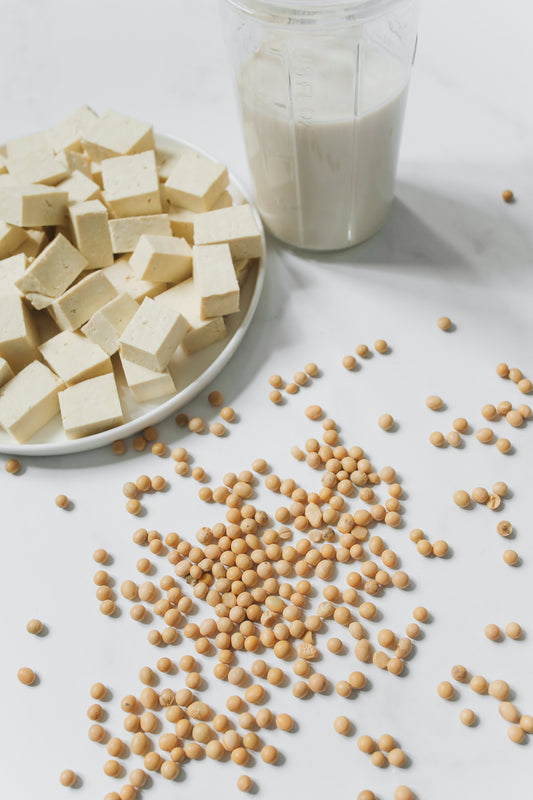 HOMEMADE TOFU AND SOY MILK (On-Demand Cooking Class) (7580698673409)