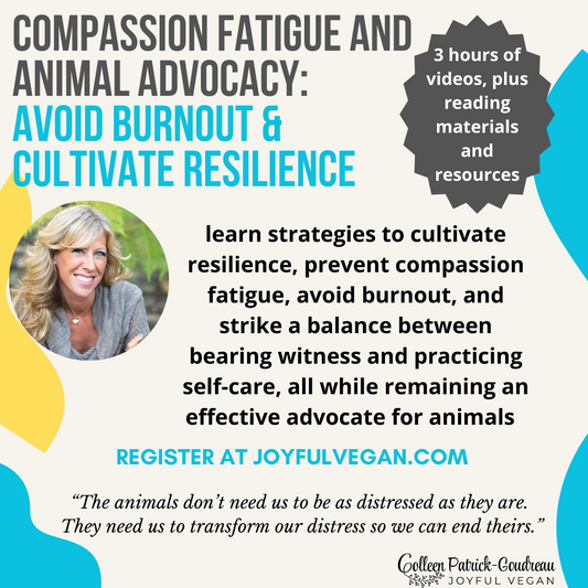 PREVENT BURNOUT AND CULTIVATE RESILIENCE