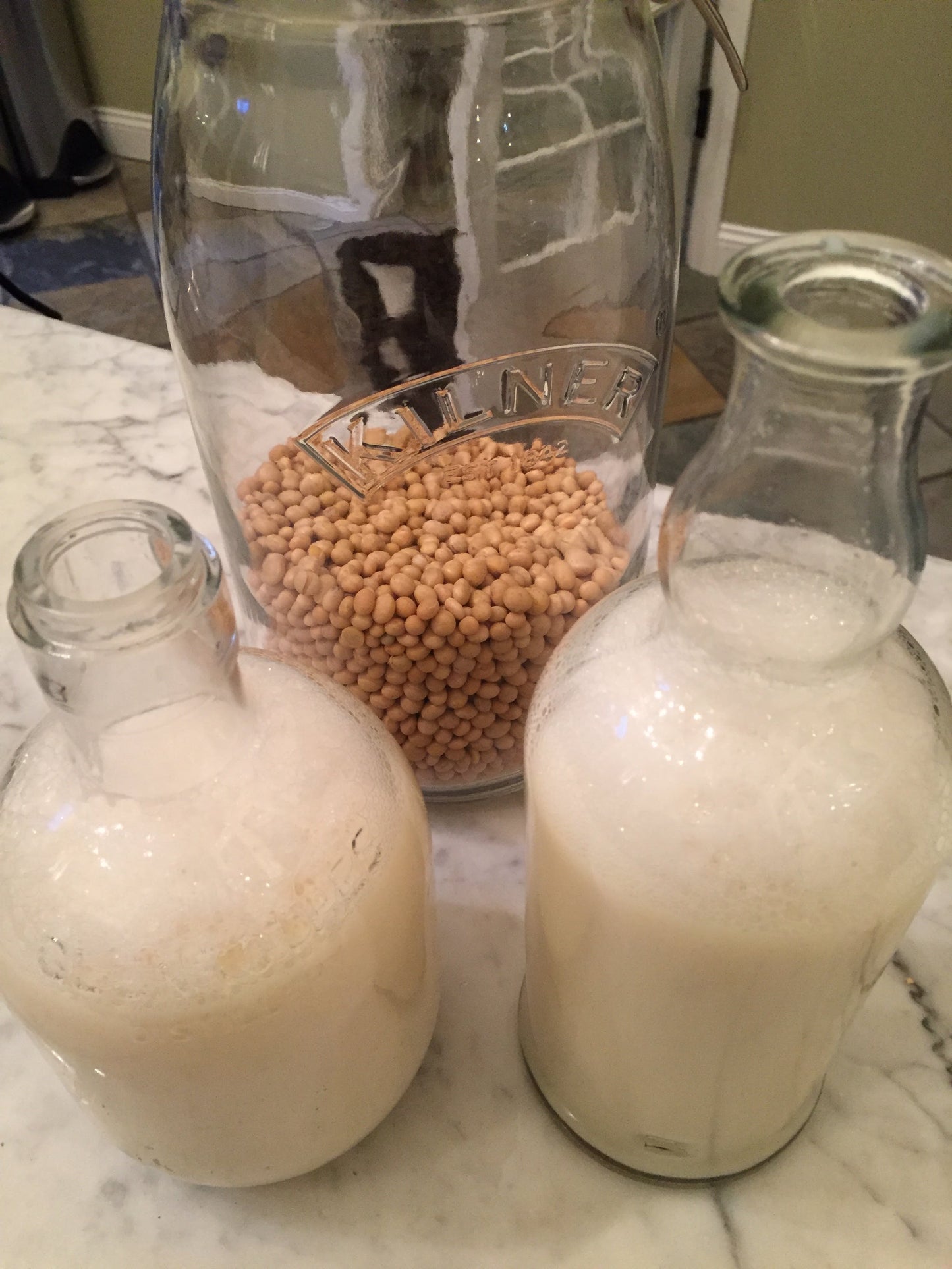 HOMEMADE TOFU AND SOY MILK (On-Demand Cooking Class) (7580698673409)