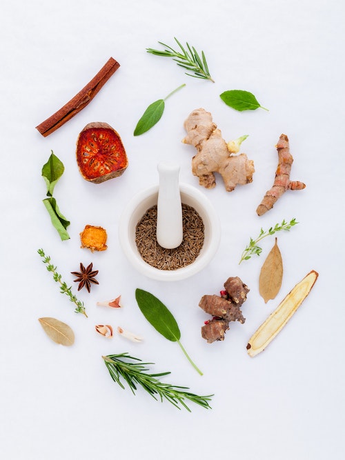 HERBS & SPICES: Everything You Ever Wanted to Know! (7589236015361)